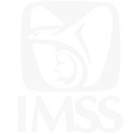 Cumplimiento Patronal IMSS — Instituto Mexicano del Seguro Social