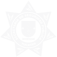 Registro SSP — Secretaría de Seguridad Pública